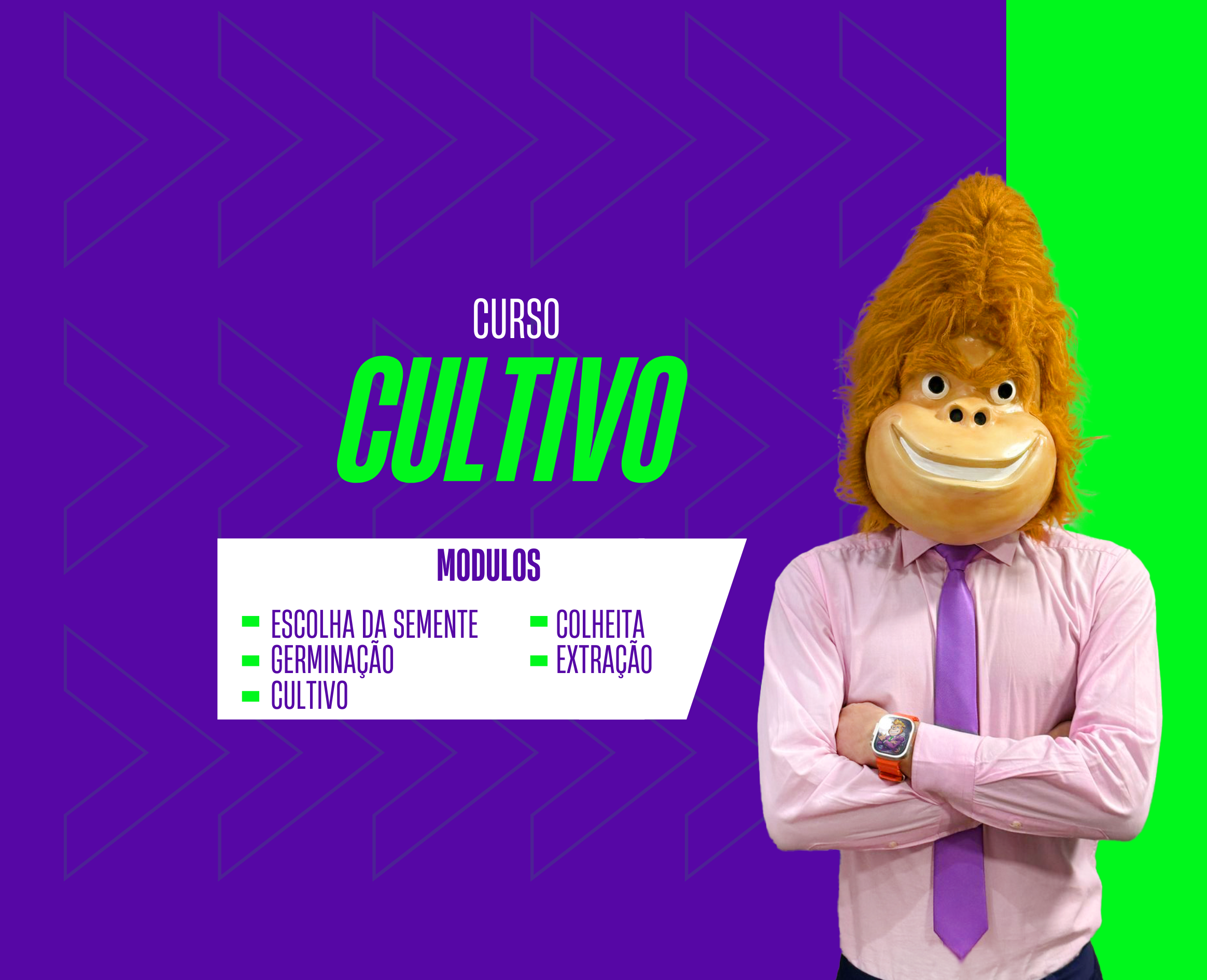 A Fórmula do Gorila