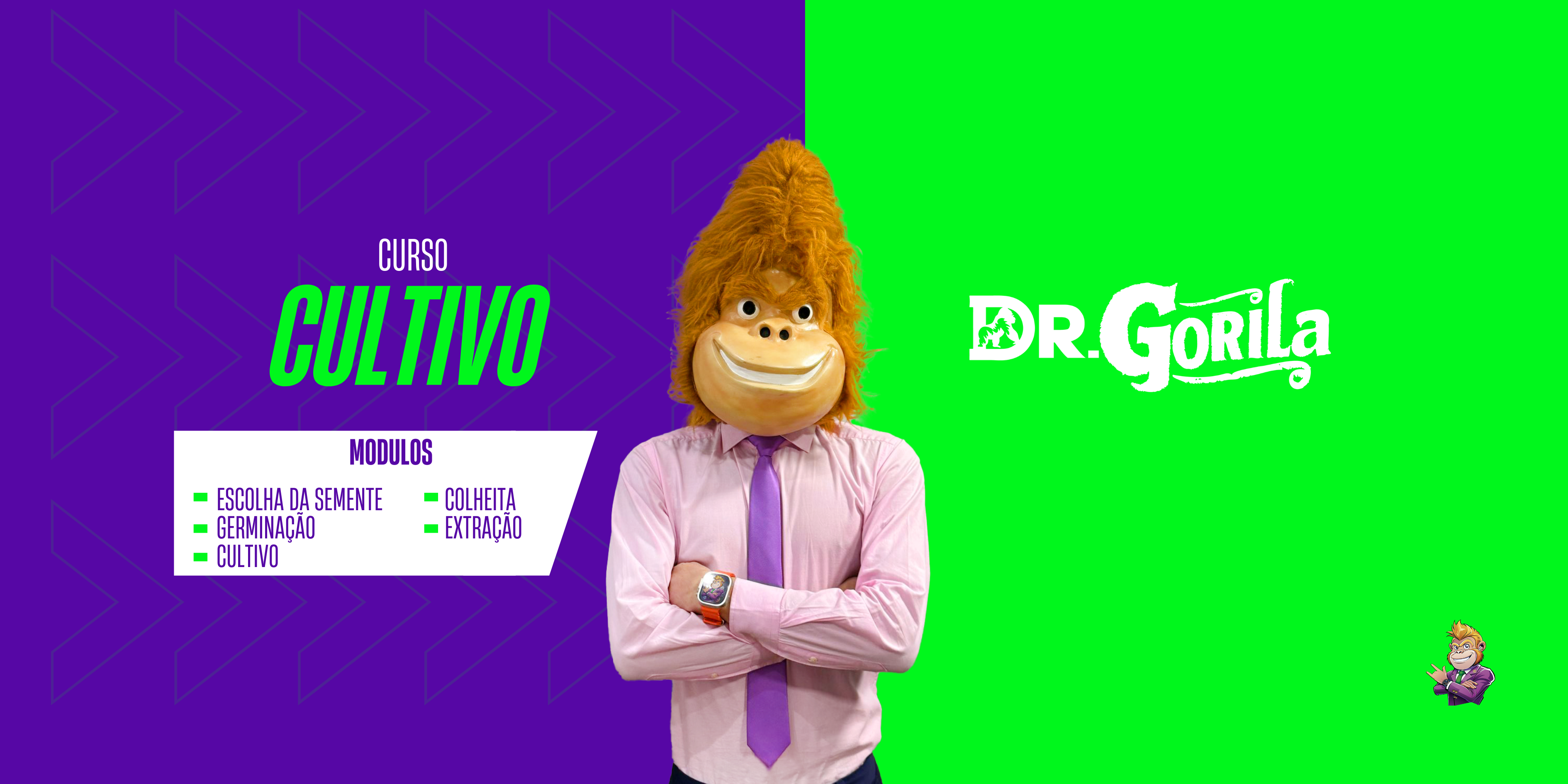 A Fórmula do Gorila